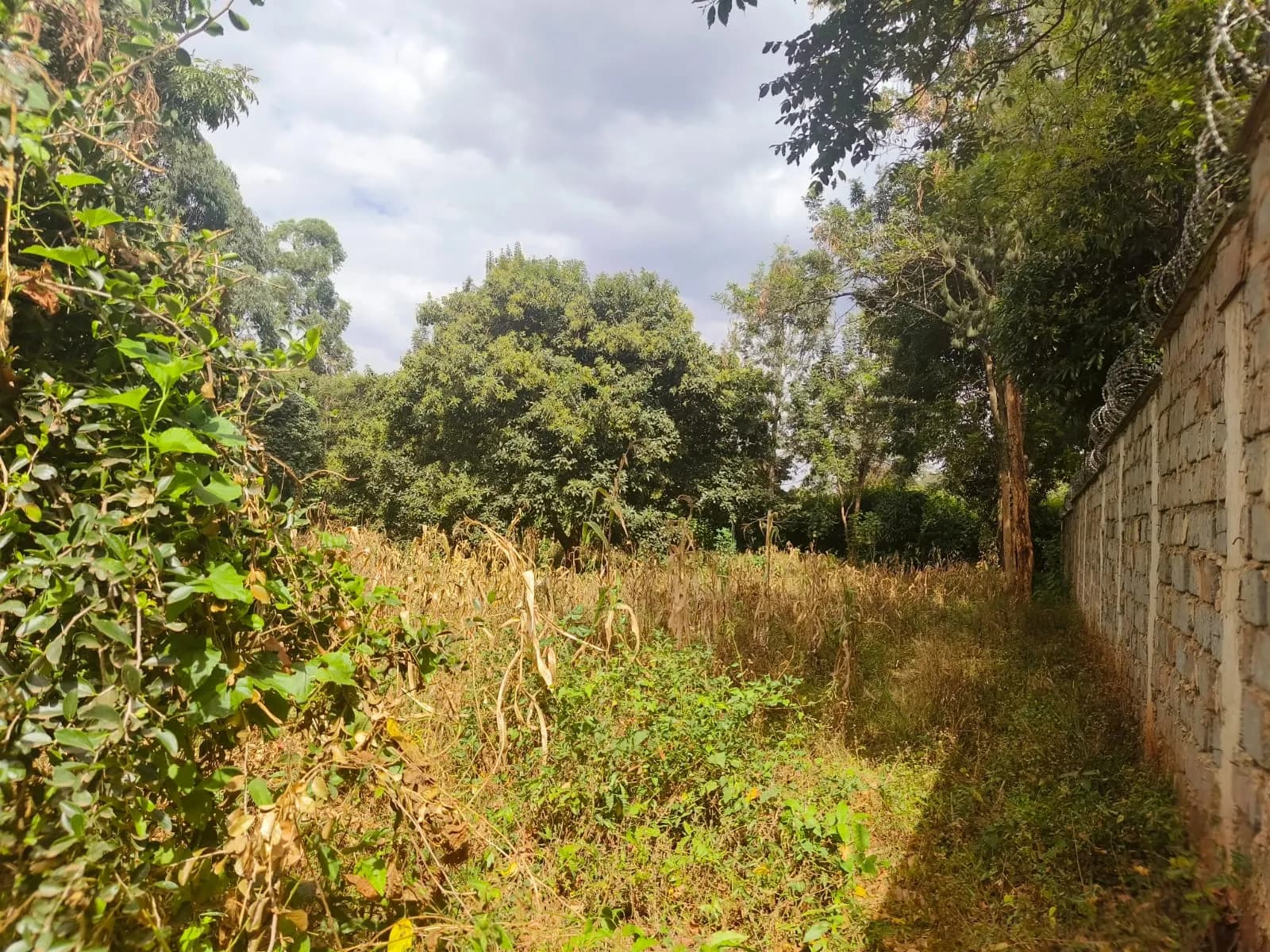 Residential Plot for sale in Kitisuru, Westlands_0
