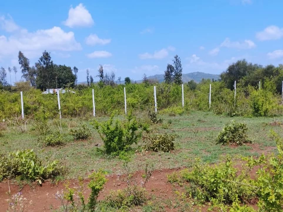 Investment Land for sale in Kambirwa, Kiharu