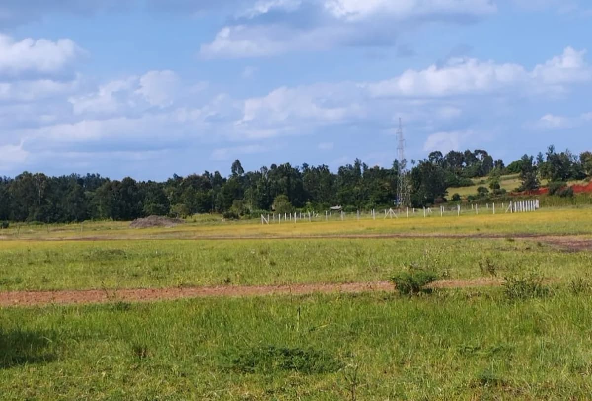 Investment Land for sale in Sagana