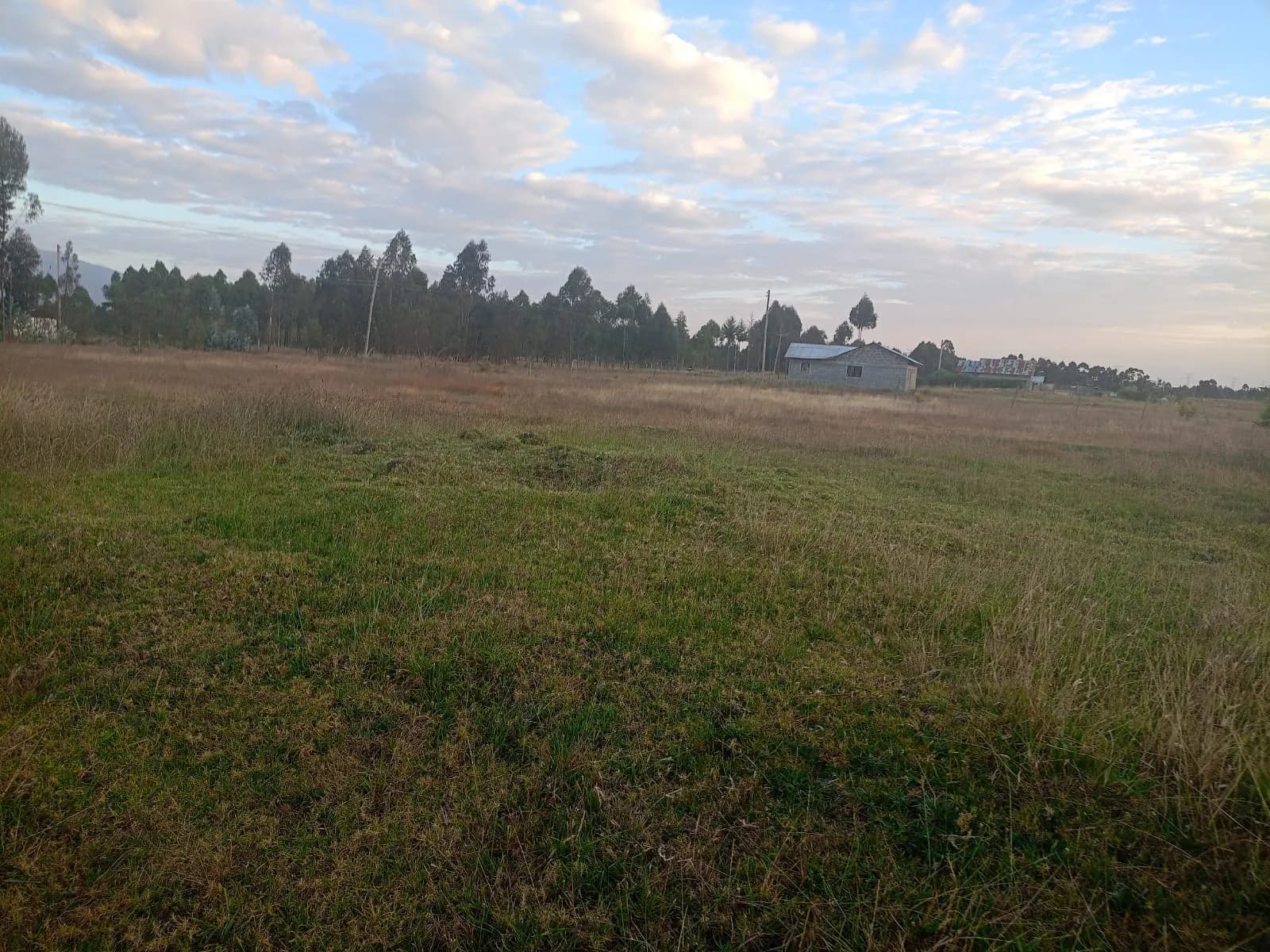 4 Bedroom Bungalow For Sale in Ol Kalou, Nyandarua_0