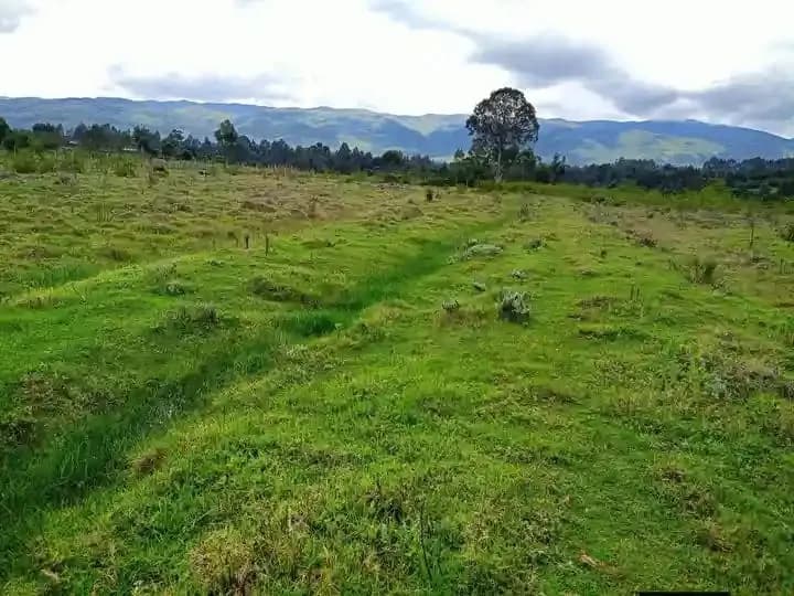 Agricultural Land For Sale Ndunyu Njeru area, Nyandarua.