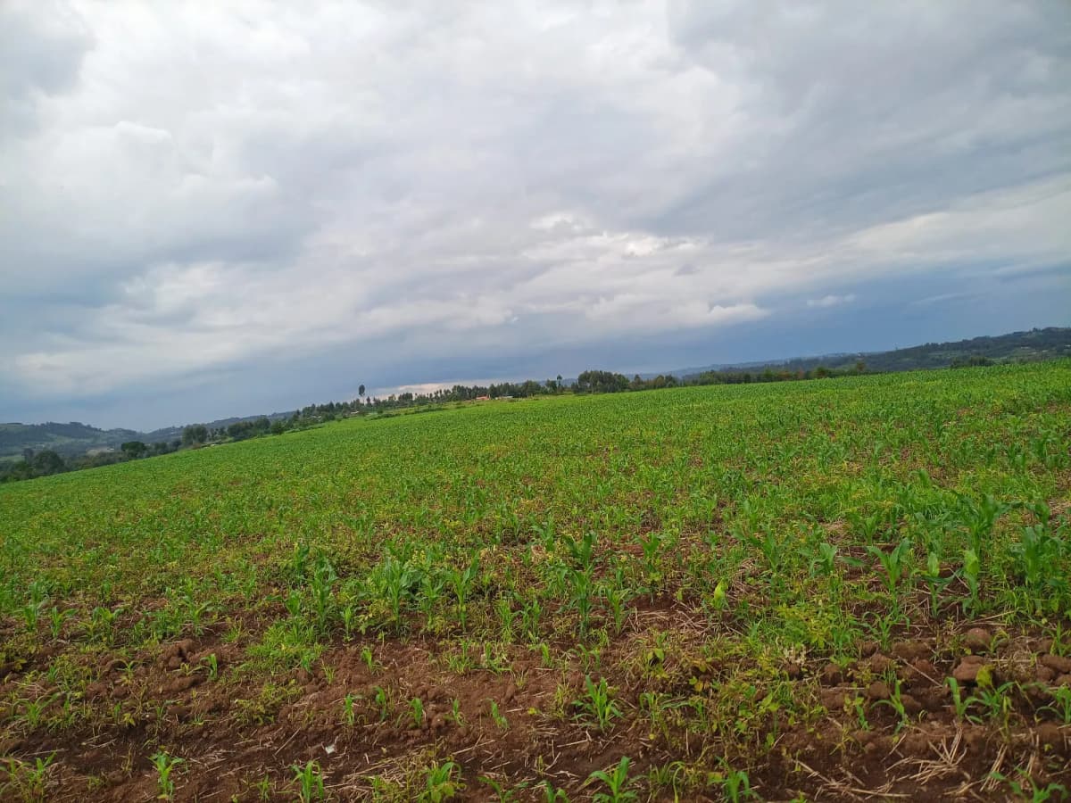 Agricultural Land For Sale in Ol Kalou, Nyandarua