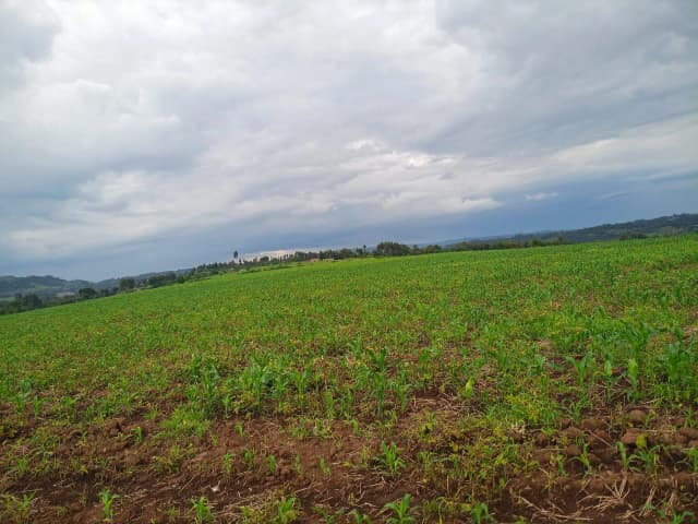 Agricultural Land For Sale in Ol Kalou, Nyandarua_0