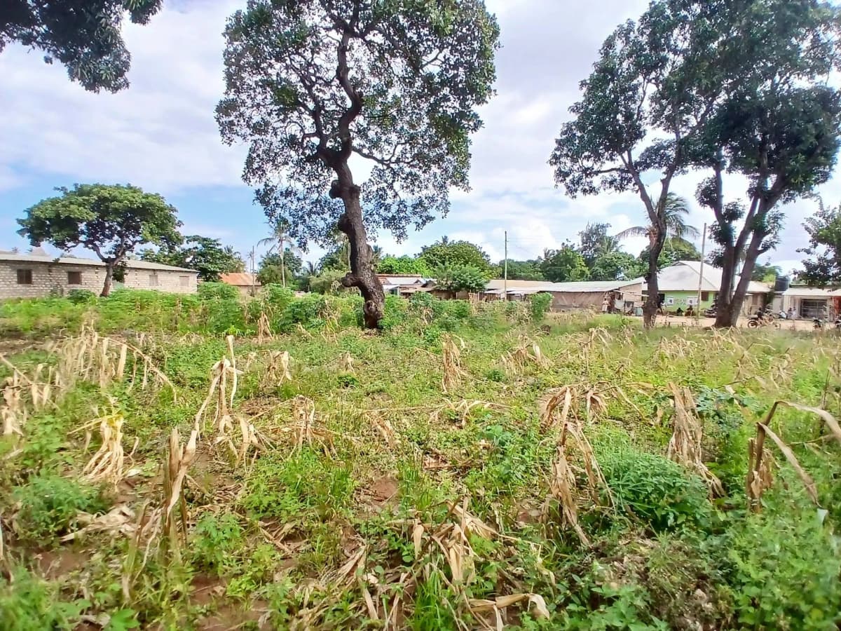 Mixed Use Land For Sale in Mtwapa