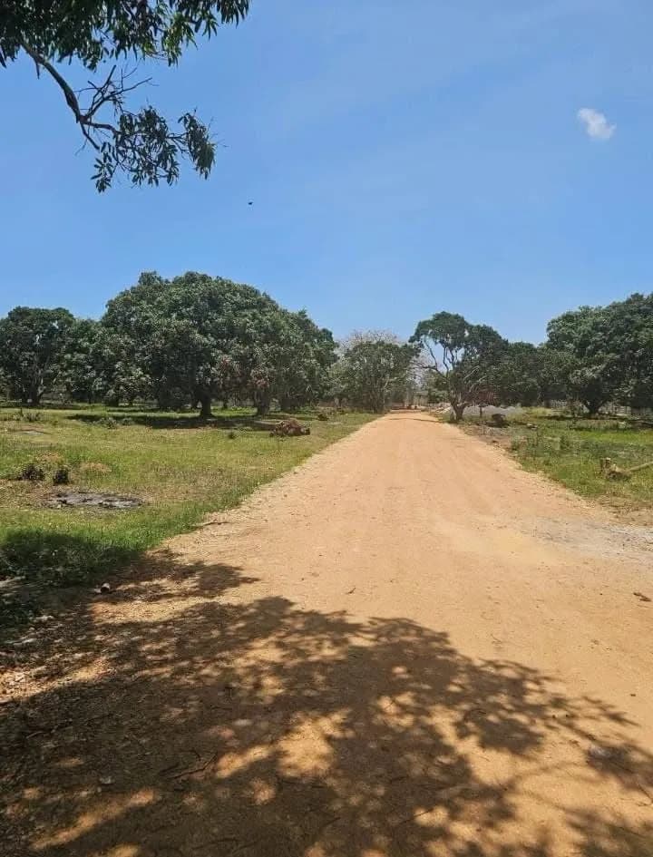 QUARTER ACRE LAND FOR SALE IN VIPINGO,NORTHCOAST