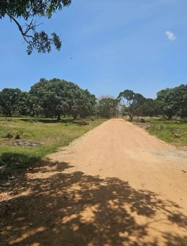 QUARTER ACRE LAND FOR SALE IN VIPINGO,NORTHCOAST_0