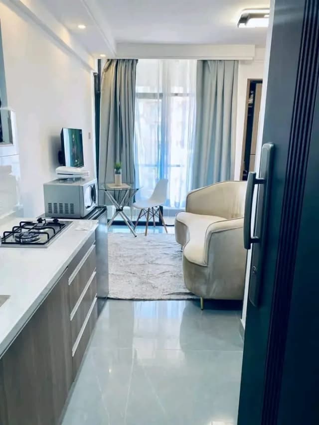 Studio Apartment For Rent in Kilimani, Nairobi_0