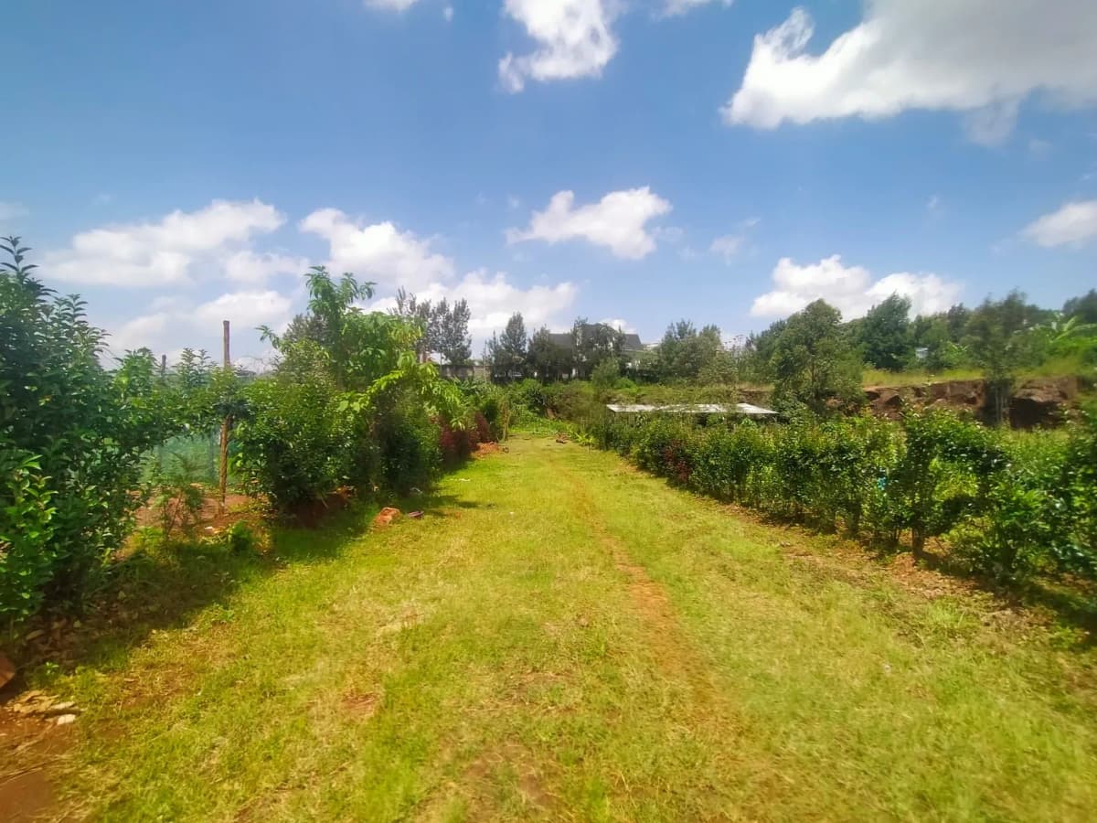 Kerarapon Drive – Most Affordable ⅛ Acre Plot For Sale