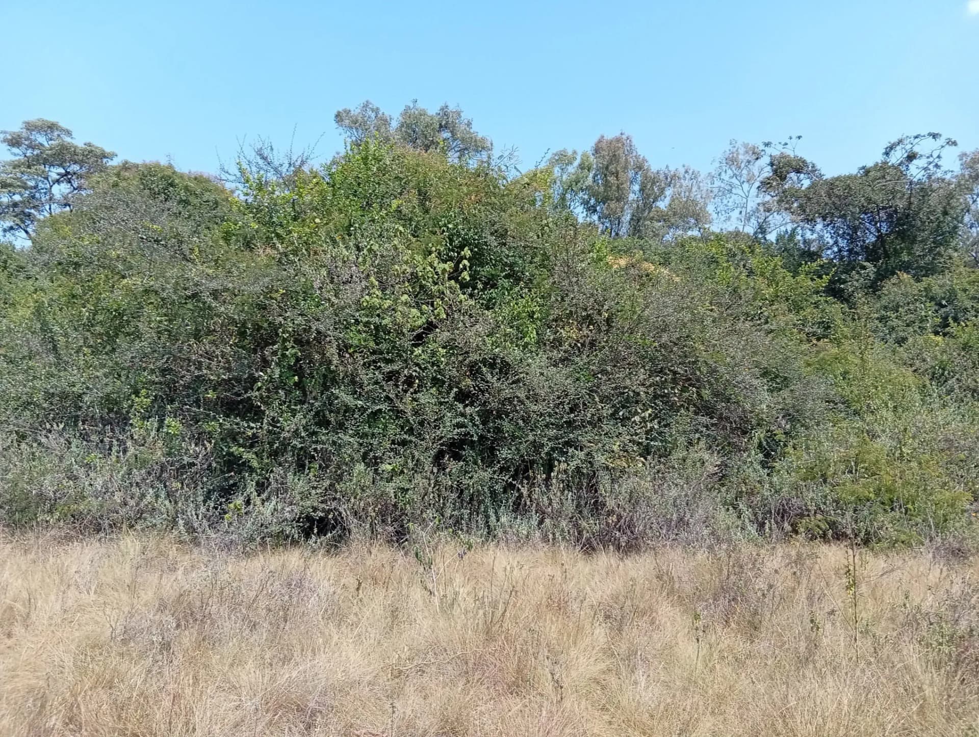 Land For Sale in Karen_0