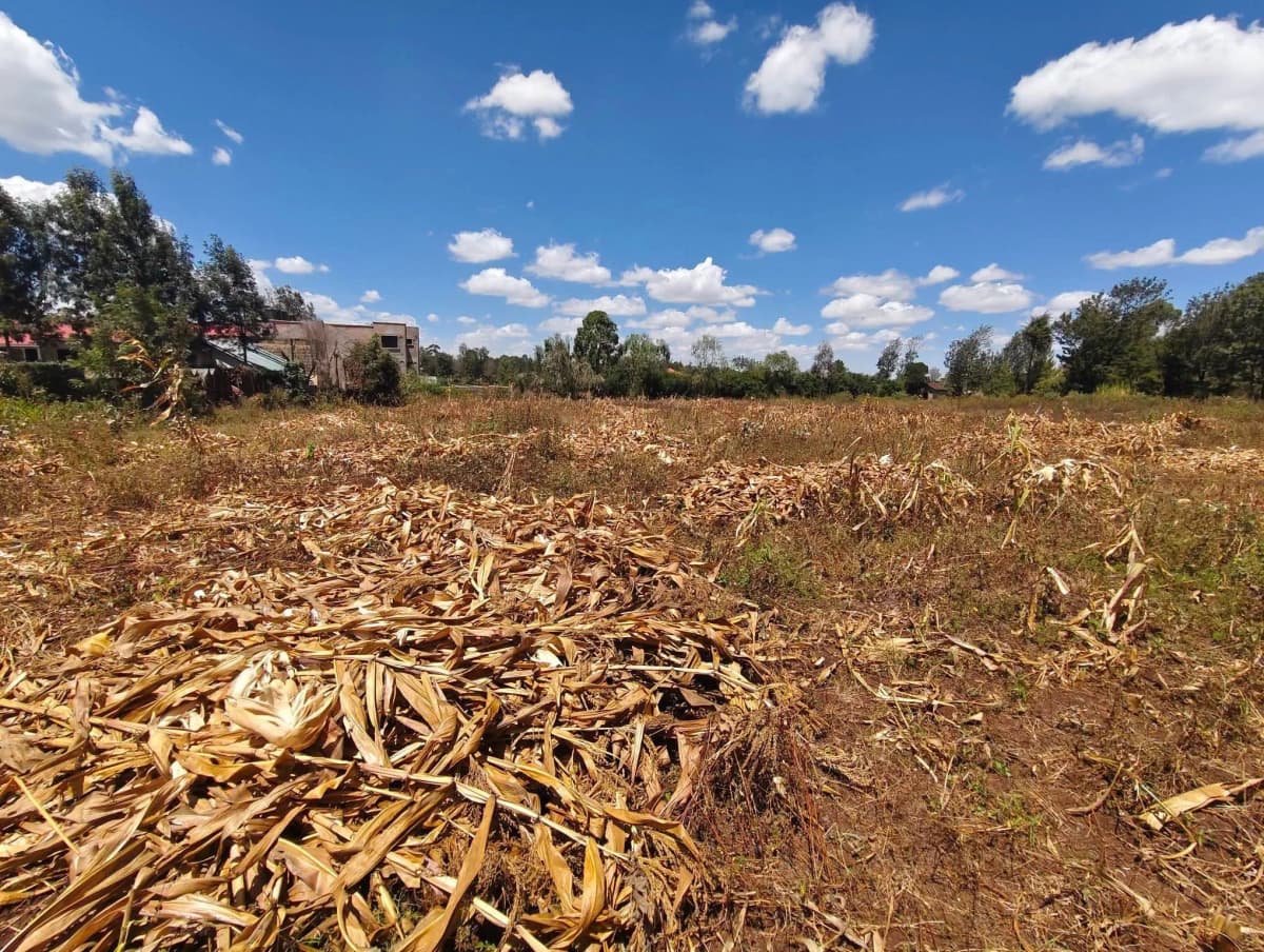 Residential Land For Sale in Ngong