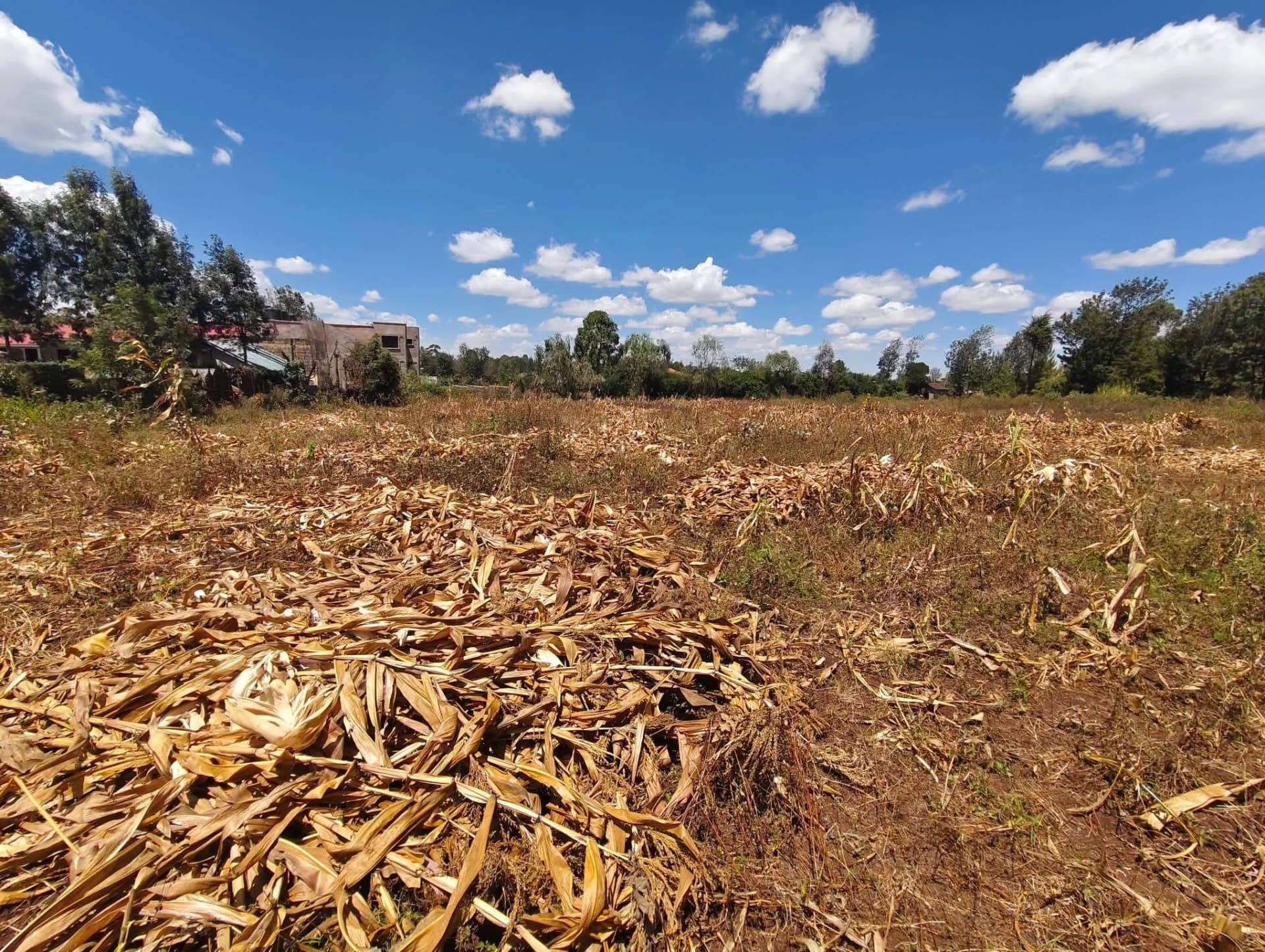 Residential Land For Sale in Ngong_0