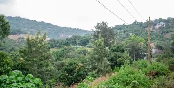 Investment Land for sale in Kabuta, Kiharu
