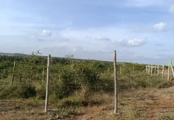 Investment Land for sale in Juja Farm, Juja