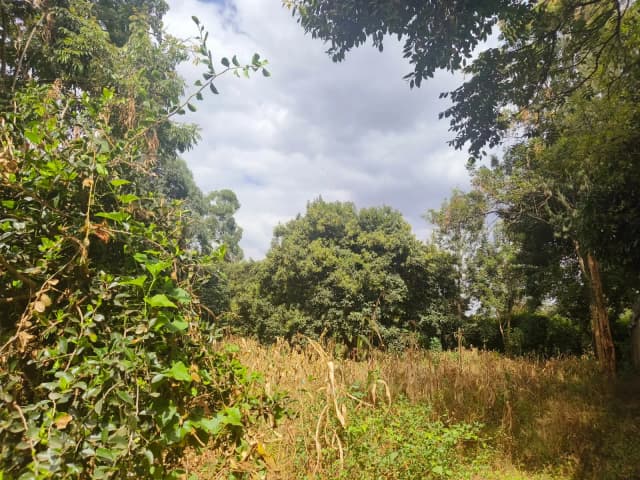 Residential Plot for sale in Kitisuru, Westlands_9