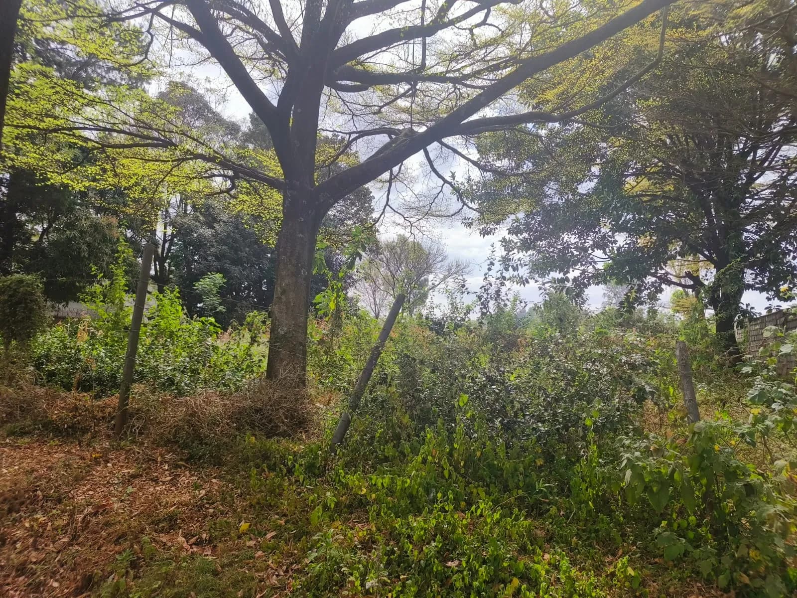 Residential Plot for sale in Kitisuru, Westlands_11