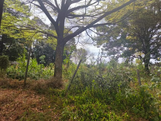 Residential Plot for sale in Kitisuru, Westlands_11