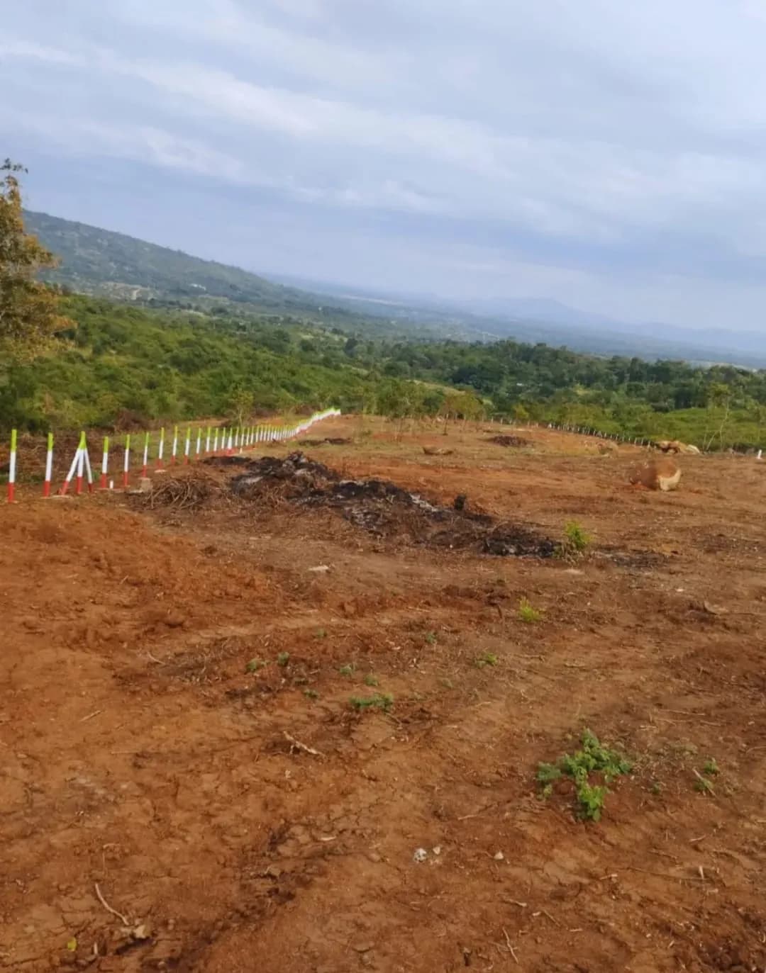 Investment Land for sale in Kabuta, Kiharu_1
