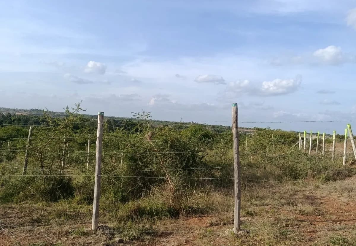 Investment Land for sale in Juja Farm, Juja_1