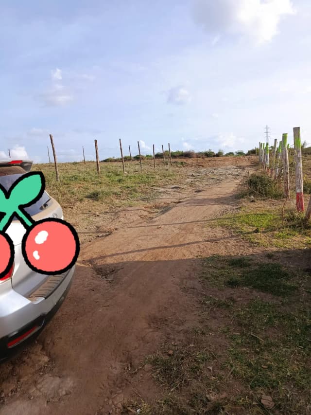 Investment Land for sale in Juja Farm, Juja_5