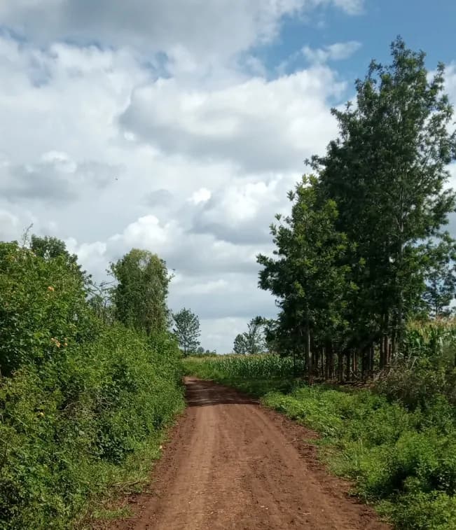 Investment Land for sale in Kambirwa, Kiharu_1