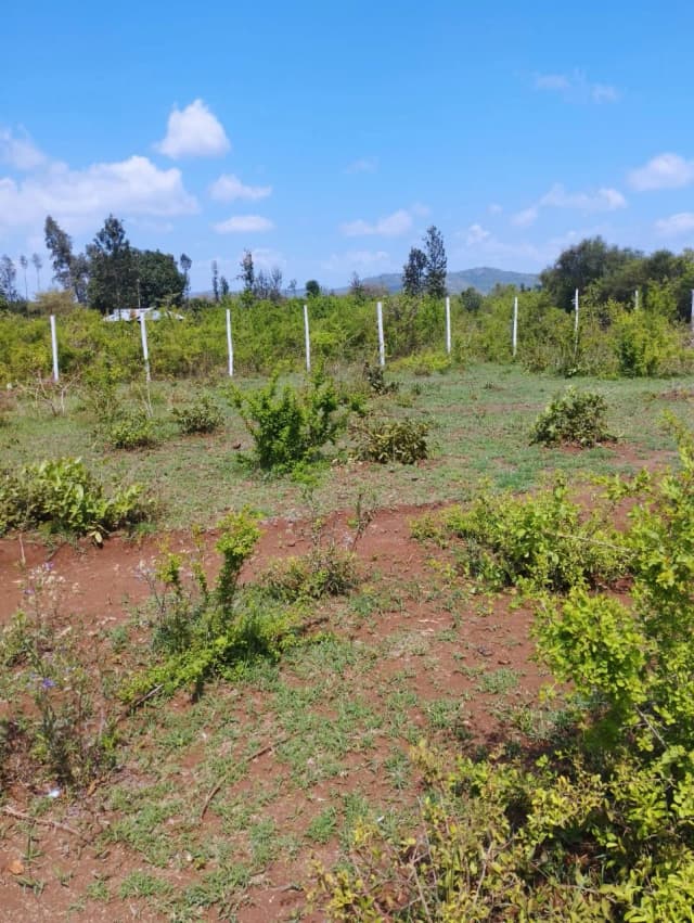 Investment Land for sale in Kambirwa, Kiharu_2