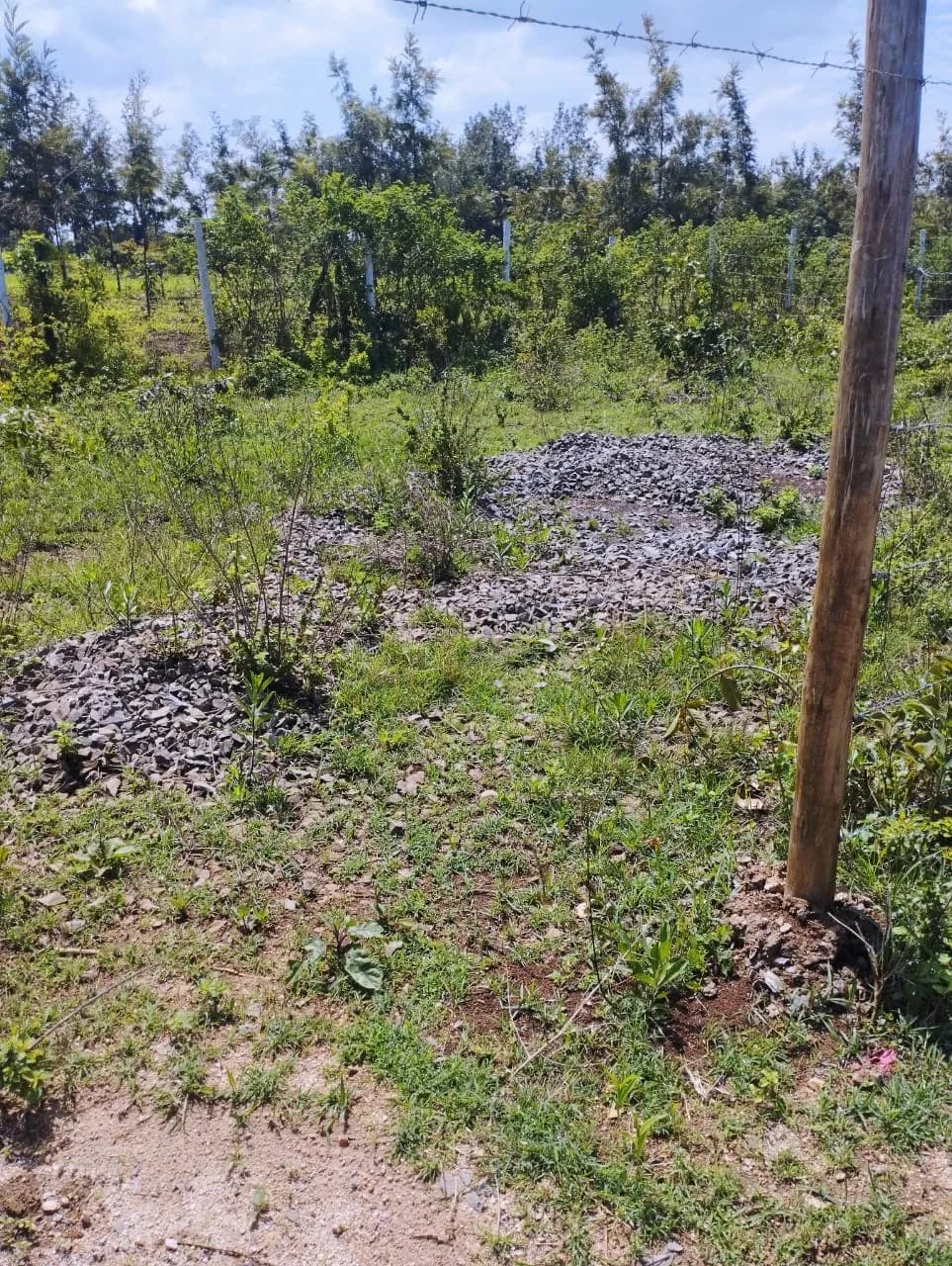 Investment Land for sale in Kambirwa, Kiharu_3