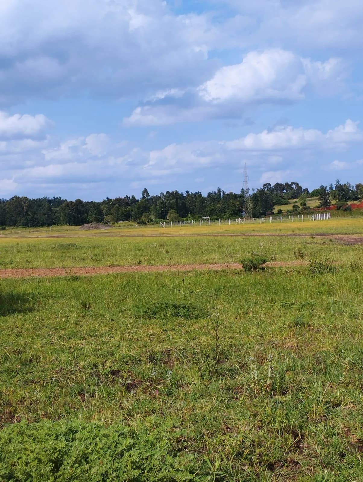 Investment Land for sale in Sagana_1