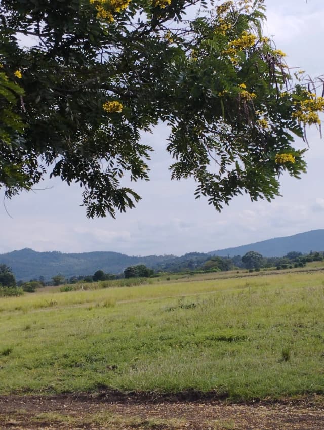 Investment Land for sale in Sagana_2