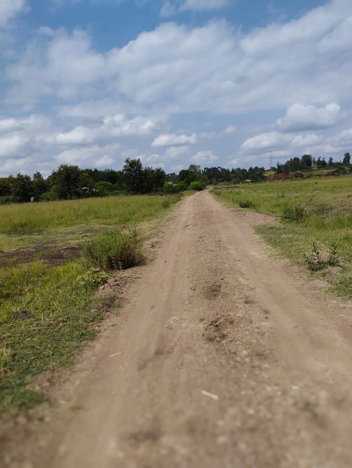 Investment Land for sale in Sagana_3