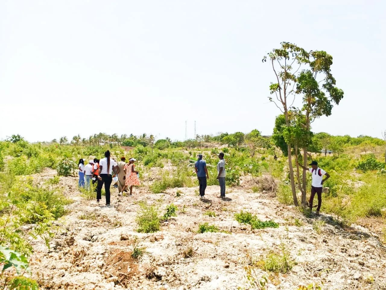 Plots For Sale in Watamu, Malindi_1