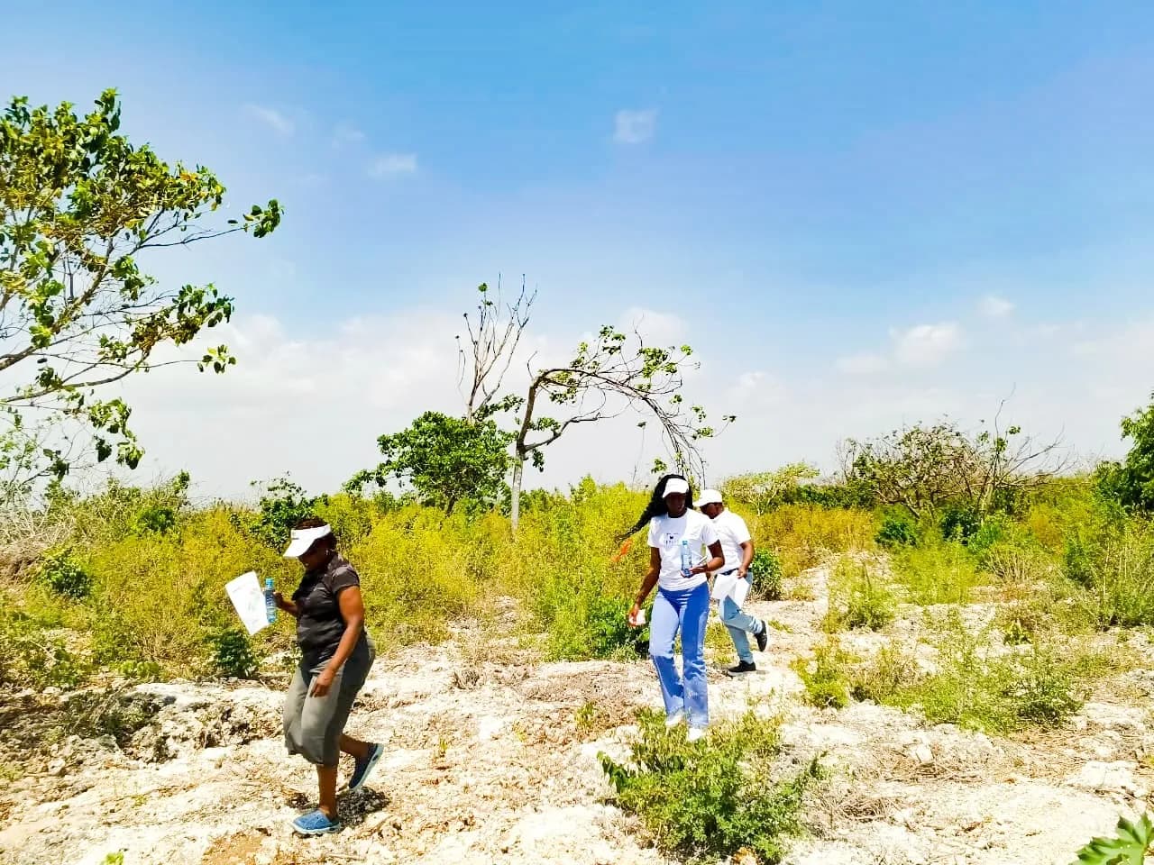 Plots For Sale in Watamu, Malindi_4