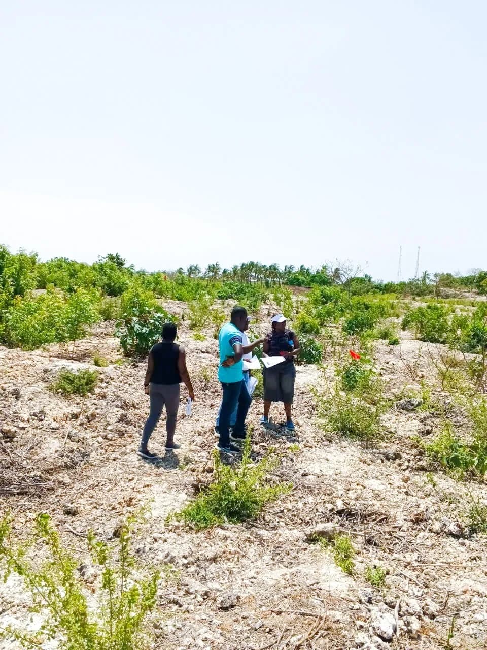 Plots For Sale in Watamu, Malindi_6