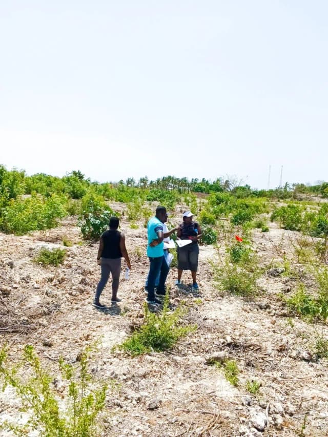 Plots For Sale in Watamu, Malindi_6