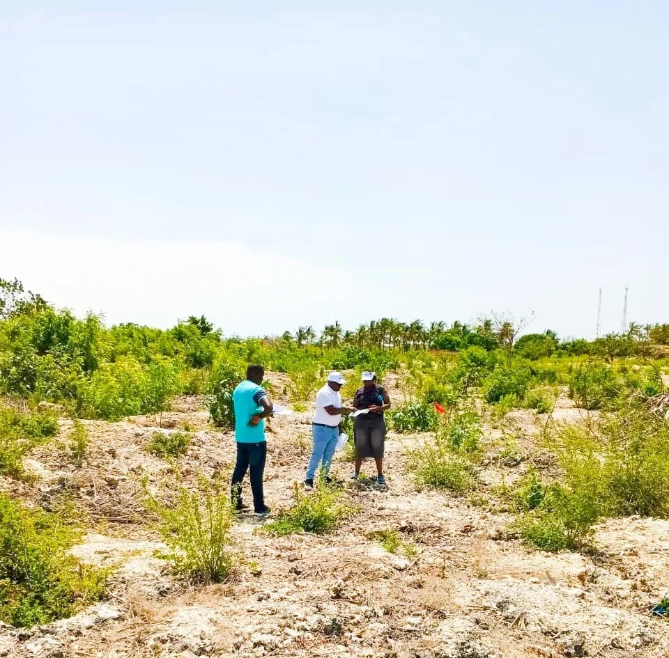 Plots For Sale in Watamu, Malindi_8