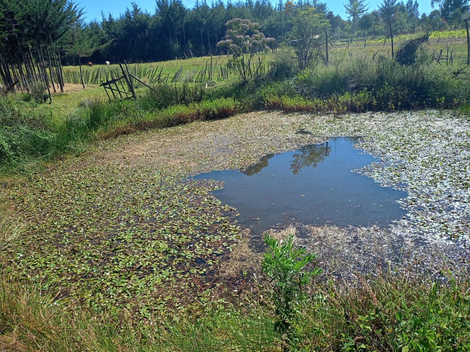 Mixed Use Land For Sale in Ol Kalou, Nyandarua_1
