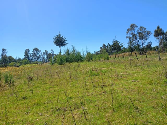 Mixed Use Land For Sale in Ol Kalou, Nyandarua_3