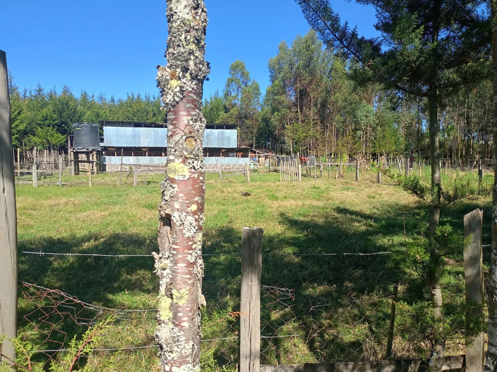 Mixed Use Land For Sale in Ol Kalou, Nyandarua_4