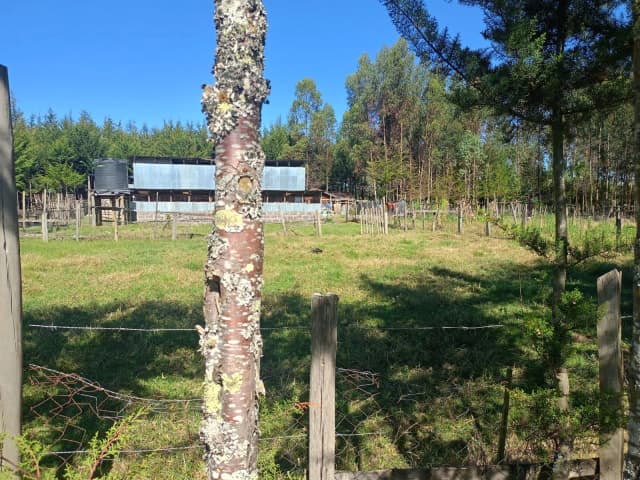 Mixed Use Land For Sale in Ol Kalou, Nyandarua_4