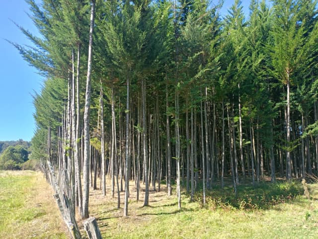 Mixed Use Land For Sale in Ol Kalou, Nyandarua_6