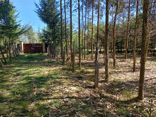 Mixed Use Land For Sale in Ol Kalou, Nyandarua_7