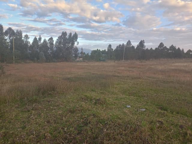 4 Bedroom Bungalow For Sale in Ol Kalou, Nyandarua_2