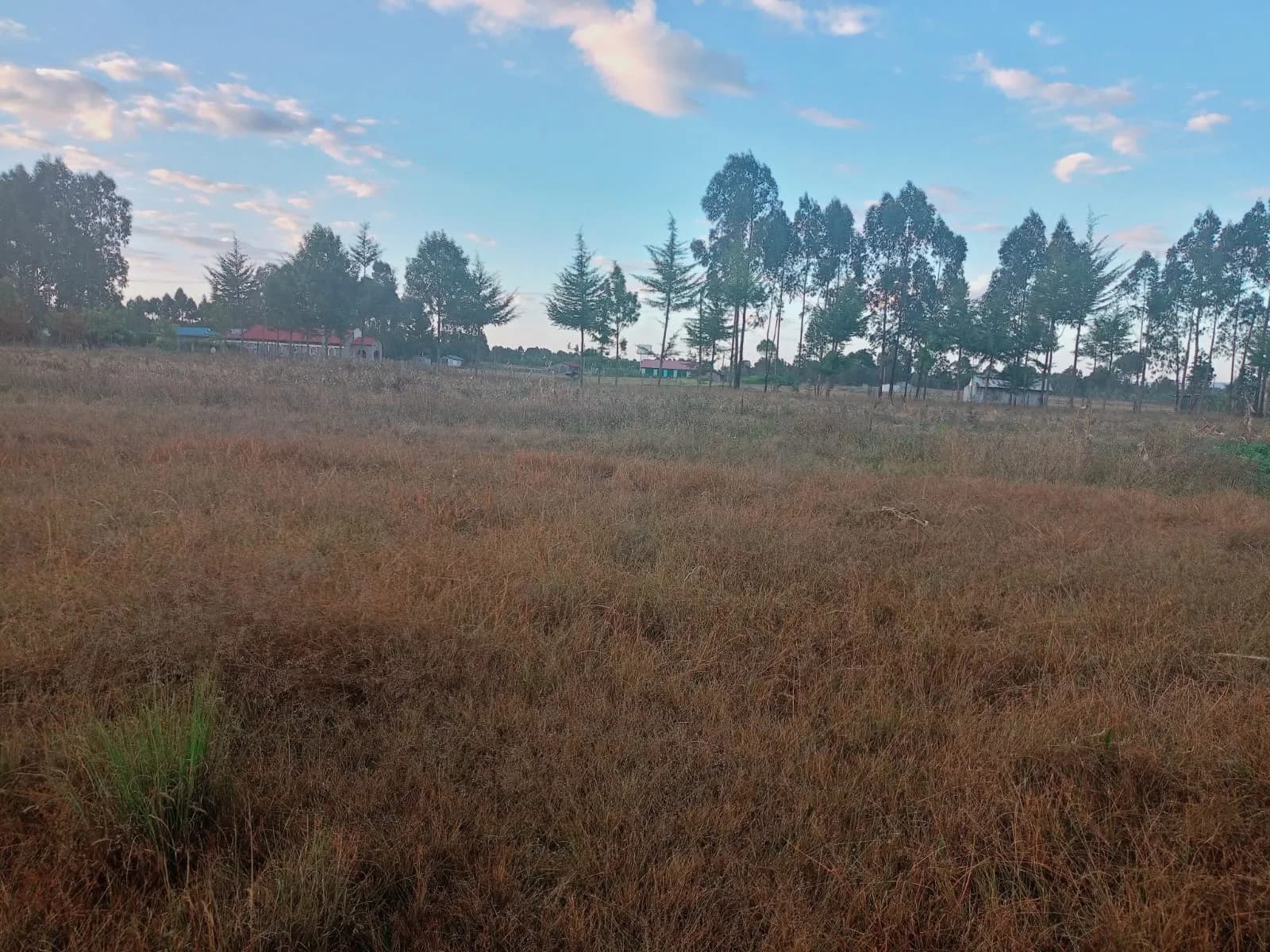 4 Bedroom Bungalow For Sale in Ol Kalou, Nyandarua_5