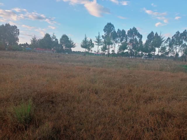 4 Bedroom Bungalow For Sale in Ol Kalou, Nyandarua_5