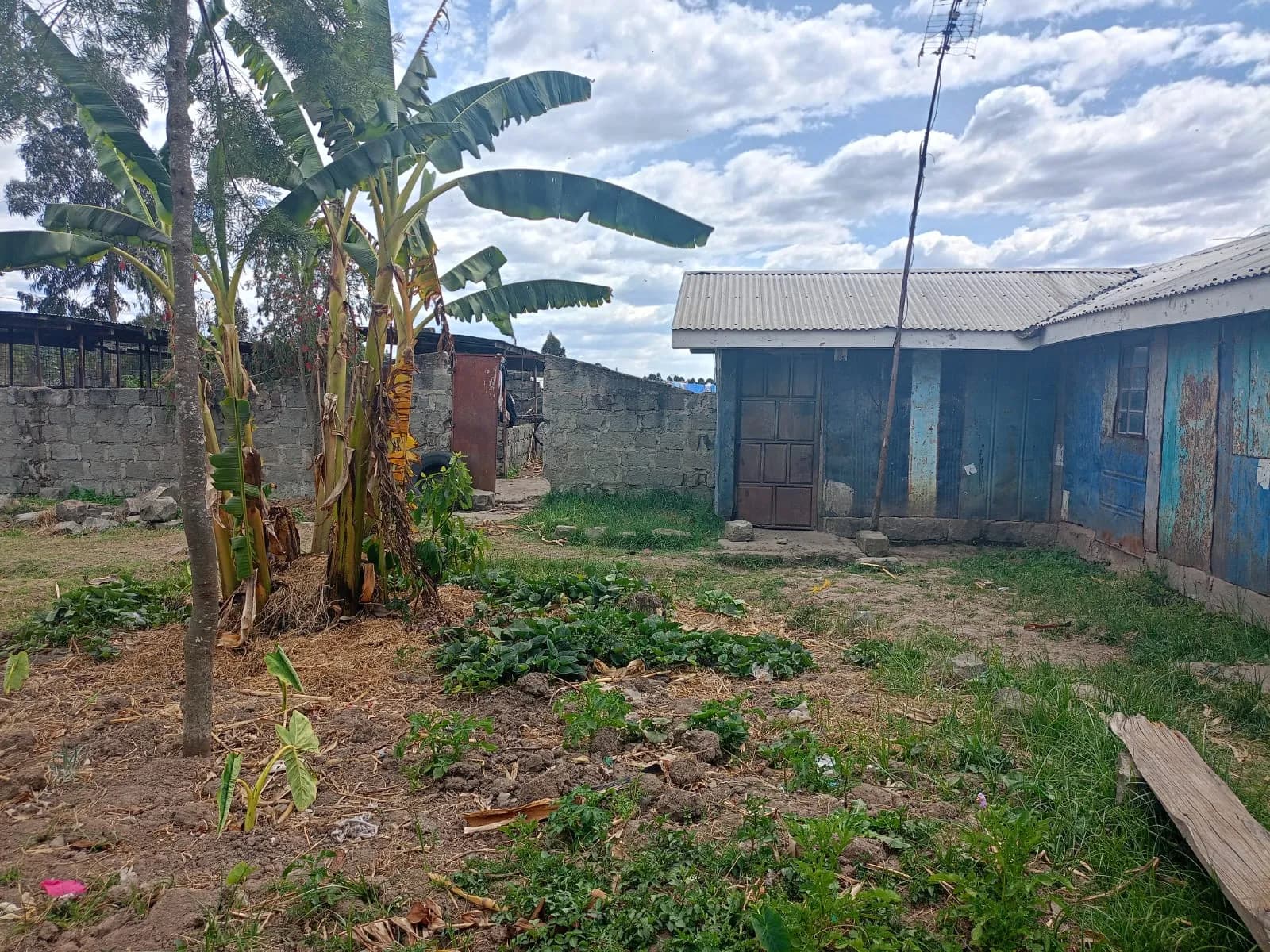 4 Bedroom Bungalow For Sale in Ol Kalou, Nyandarua_6