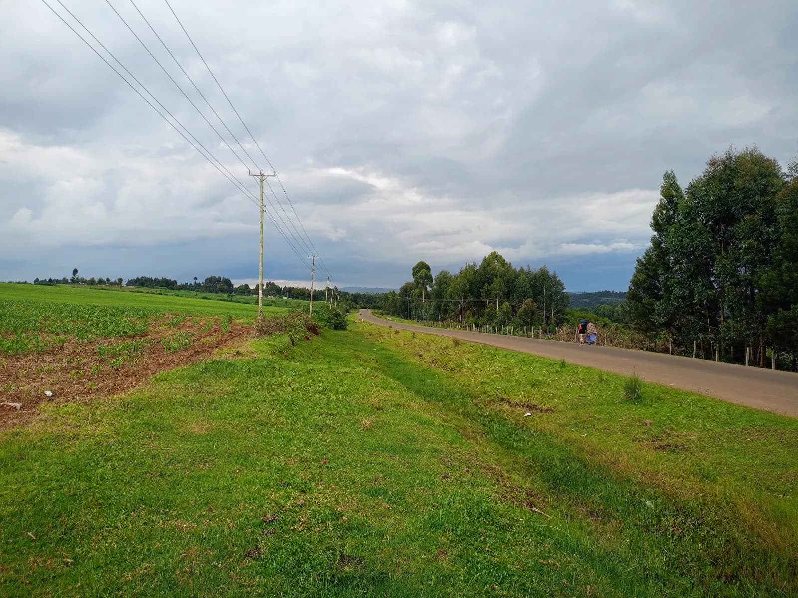 Agricultural Land For Sale in Ol Kalou, Nyandarua_1