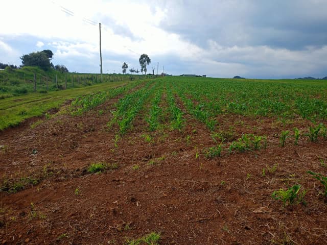 Agricultural Land For Sale in Ol Kalou, Nyandarua_2
