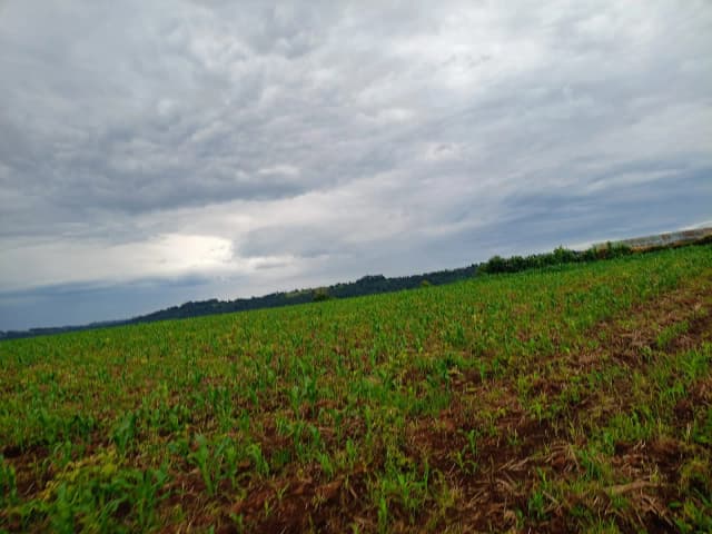 Agricultural Land For Sale in Ol Kalou, Nyandarua_3