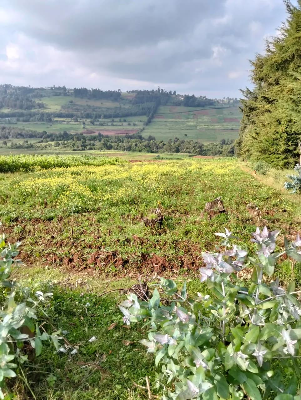 Agricultural Land For Sale in Ol Kalou area, Nyandarua_1