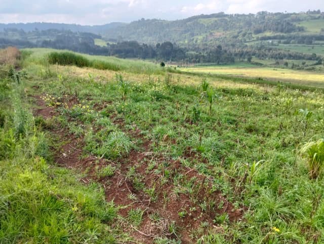 Agricultural Land For Sale in Ol Kalou area, Nyandarua_2