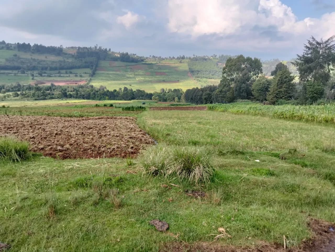 Agricultural Land For Sale in Ol Kalou area, Nyandarua_4